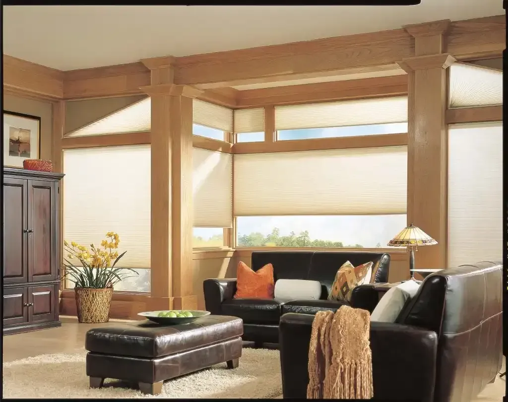 Living room with brown leather furniture and honeycomb shades